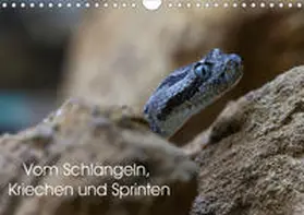 Krieger |  Vom Schlängeln, Kriechen und Sprinten (Wandkalender 2021 DIN A4 quer) | Sonstiges |  Sack Fachmedien