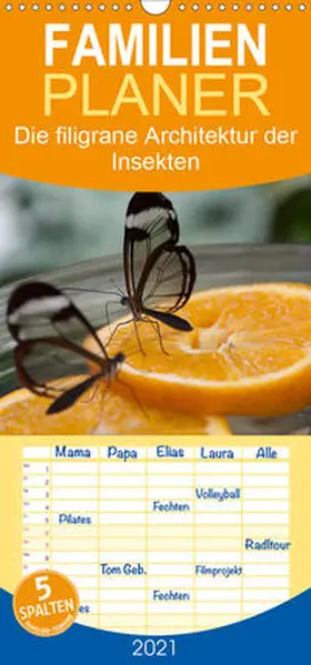 Docskh |  Die filigrane Architektur der Insekten - Familienplaner hoch (Wandkalender 2021 , 21 cm x 45 cm, hoch) | Sonstiges |  Sack Fachmedien