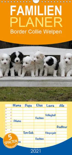 Lindert-Rottke |  Border Collie Welpen - Familienplaner hoch (Wandkalender 2021 , 21 cm x 45 cm, hoch) | Sonstiges |  Sack Fachmedien