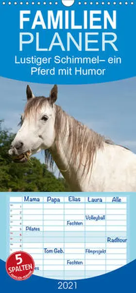 Bölts |  Lustiger Schimmel - ein Pferd mit Humor - Familienplaner hoch (Wandkalender 2021 , 21 cm x 45 cm, hoch) | Sonstiges |  Sack Fachmedien