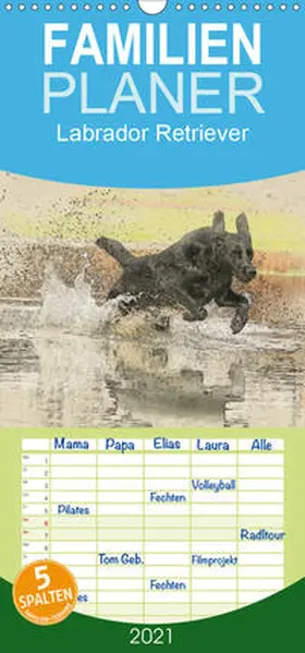 Redecker |  Labrador Retriever 2021 - Familienplaner hoch (Wandkalender 2021 , 21 cm x 45 cm, hoch) | Sonstiges |  Sack Fachmedien