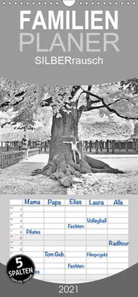 Zimmermann |  SILBERrausch - Familienplaner hoch (Wandkalender 2021 , 21 cm x 45 cm, hoch) | Sonstiges |  Sack Fachmedien
