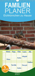 Peitz |  Eichhörnchen zu Hause - Familienplaner hoch (Wandkalender 2021 , 21 cm x 45 cm, hoch) | Sonstiges |  Sack Fachmedien