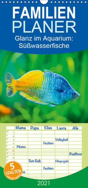 Calvendo / CALVENDO |  Glanz im Aquarium: Süßwasserfische - Familienplaner hoch (Wandkalender 2021 , 21 cm x 45 cm, hoch) | Sonstiges |  Sack Fachmedien