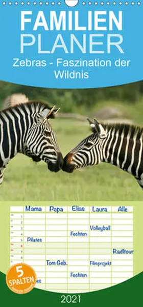 Haase |  Zebras - Faszination  der Wildnis - Familienplaner hoch (Wandkalender 2021 , 21 cm x 45 cm, hoch) | Sonstiges |  Sack Fachmedien
