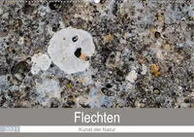 Dietz |  Flechten - Kunst der Natur (Wandkalender 2021 DIN A2 quer) | Sonstiges |  Sack Fachmedien