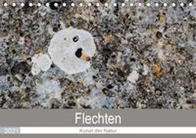 Dietz |  Flechten - Kunst der Natur (Tischkalender 2021 DIN A5 quer) | Sonstiges |  Sack Fachmedien