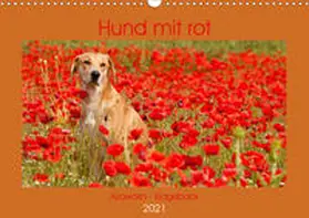 Bölts |  Hund mit rot - Azawakh - Ridgeback (Wandkalender 2021 DIN A3 quer) | Sonstiges |  Sack Fachmedien