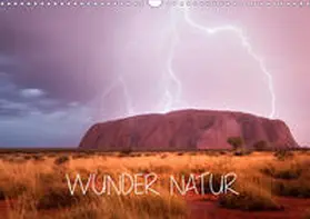 Schaarschmidt |  Wunder Natur II (Wandkalender 2021 DIN A3 quer) | Sonstiges |  Sack Fachmedien