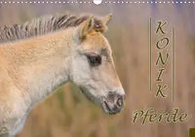 Kulartz | Konik-Pferde (Wandkalender 2021 DIN A3 quer) | Sonstiges | 978-3-672-33193-1 | www.sack.de