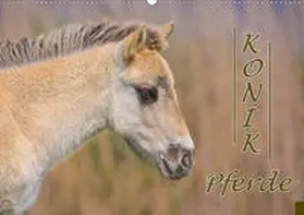 Kulartz |  Konik-Pferde (Wandkalender 2021 DIN A2 quer) | Sonstiges |  Sack Fachmedien