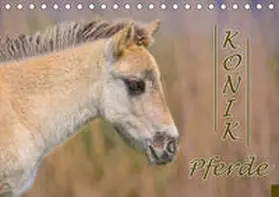 Kulartz | Konik-Pferde (Tischkalender 2021 DIN A5 quer) | Sonstiges | 978-3-672-33195-5 | www.sack.de