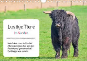 Kulartz | Lustige Tiere im Norden (Wandkalender 2021 DIN A4 quer) | Sonstiges | 978-3-672-42811-2 | www.sack.de