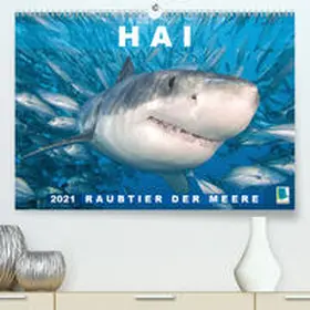 Calvendo / CALVENDO |  Hai: Raubtier der Meere (Premium, hochwertiger DIN A2 Wandkalender 2021, Kunstdruck in Hochglanz) | Sonstiges |  Sack Fachmedien
