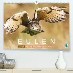 Calvendo / CALVENDO |  Eulen: In die Augen geschaut (Premium, hochwertiger DIN A2 Wandkalender 2021, Kunstdruck in Hochglanz) | Sonstiges |  Sack Fachmedien