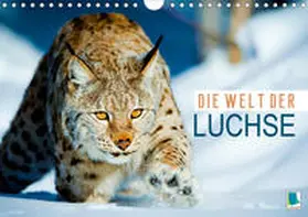 Calvendo / CALVENDO |  Die Welt der Luchse (Wandkalender 2021 DIN A4 quer) | Sonstiges |  Sack Fachmedien