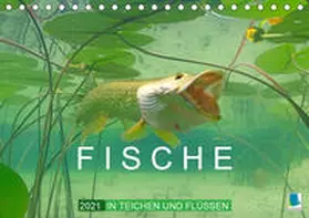 Calvendo / CALVENDO |  Fische in Teichen und Flüssen (Tischkalender 2021 DIN A5 quer) | Sonstiges |  Sack Fachmedien