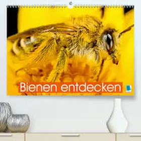 Calvendo / CALVENDO |  Bienen entdecken (Premium, hochwertiger DIN A2 Wandkalender 2021, Kunstdruck in Hochglanz) | Sonstiges |  Sack Fachmedien