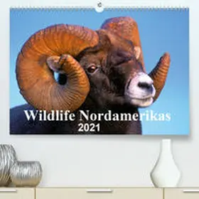 KOPFLE |  Wildlife Nordamerikas 2021 (Premium, hochwertiger DIN A2 Wandkalender 2021, Kunstdruck in Hochglanz) | Sonstiges |  Sack Fachmedien
