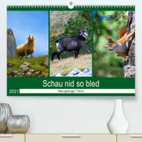 Kramer |  Schau nid so bled (Premium, hochwertiger DIN A2 Wandkalender 2021, Kunstdruck in Hochglanz) | Sonstiges |  Sack Fachmedien
