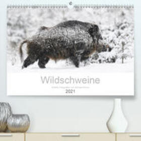 Breuer | Wildschweine 2021 (Premium, hochwertiger DIN A2 Wandkalender 2021, Kunstdruck in Hochglanz) | Sonstiges | 978-3-672-66355-1 | sack.de