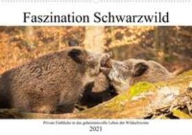 Fett | Fett, D: Faszination Schwarzwild (Wandkalender 2021 DIN A2 q | Sonstiges | 978-3-672-81815-9 | sack.de