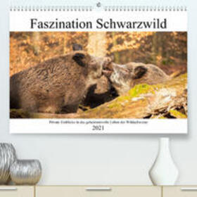 Fett | Fett, D: Faszination Schwarzwild (Premium, hochwertiger DIN | Sonstiges | 978-3-672-81817-3 | sack.de
