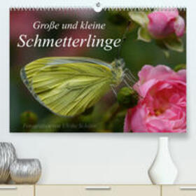 Schäfer |  Schäfer, U: Große und kleine Schmetterlinge (Premium, hochwe | Sonstiges |  Sack Fachmedien