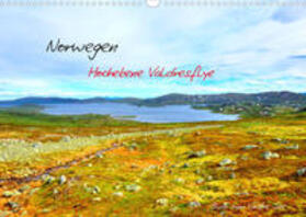 Berger | Berger, A: Norwegen - Hochebene Valdresflye (Wandkalender 20 | Sonstiges | 978-3-673-92594-8 | sack.de