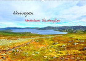 Berger | Berger, A: Norwegen - Hochebene Valdresflye (Wandkalender 20 | Sonstiges | 978-3-673-92595-5 | sack.de