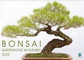 CALVENDO |  Calvendo: Bonsai: Gartenkunst im Kleinen (Wandkalender 2022 | Sonstiges |  Sack Fachmedien
