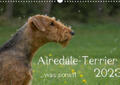 Janz |  Janz, M: Airedale-Terrier, was sonst! (Wandkalender 2023 DIN | Sonstiges |  Sack Fachmedien
