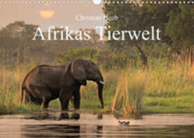 Heeb |  Heeb, C: Afrikas Tierwelt Christian Heeb (Wandkalender 2023 | Sonstiges |  Sack Fachmedien