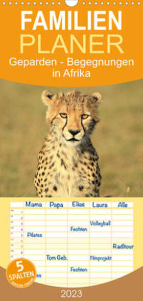 Herzog | Familienplaner Geparden - Begegnungen in Afrika (Wandkalender 2023 , 21 cm x 45 cm, hoch) | Sonstiges | 978-3-674-89048-1 | sack.de