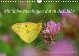 Schäfer |  Schäfer, U: Mit Schmetterlingen durch das Jahr (Wandkalender | Sonstiges |  Sack Fachmedien