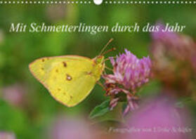 Schäfer |  Schäfer, U: Mit Schmetterlingen durch das Jahr (Wandkalender | Sonstiges |  Sack Fachmedien