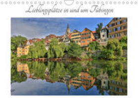 Maas |  Maas, C: Lieblingsplätze in und um Tübingen (Wandkalender 20 | Sonstiges |  Sack Fachmedien