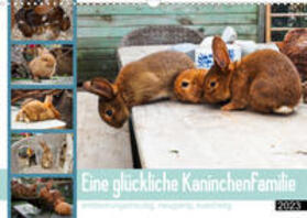 Maas |  Maas, C: Eine glückliche Kaninchenfamilie (Wandkalender 2023 | Sonstiges |  Sack Fachmedien