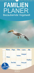 Fischer |  Familienplaner Bezaubernde Vogelwelt (Wandkalender 2023 , 21 cm x 45 cm, hoch) | Sonstiges |  Sack Fachmedien