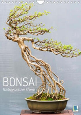 CALVENDO |  Calvendo: Bonsai: Gartenkunst im Kleinen (Wandkalender 2023 | Sonstiges |  Sack Fachmedien