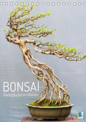 CALVENDO |  Calvendo: Bonsai: Gartenkunst im Kleinen (Tischkalender 2023 | Sonstiges |  Sack Fachmedien