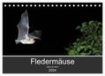 Schäfer |  Fledermäuse - Jäger der Nacht (Tischkalender 2024 DIN A5 quer), CALVENDO Monatskalender | Sonstiges |  Sack Fachmedien