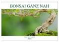 Schmidt |  Bonsai ganz nah (Wandkalender 2024 DIN A3 quer), CALVENDO Monatskalender | Sonstiges |  Sack Fachmedien