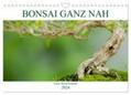 Schmidt |  Bonsai ganz nah (Wandkalender 2024 DIN A4 quer), CALVENDO Monatskalender | Sonstiges |  Sack Fachmedien