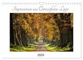 Pohl | Impressionen aus Ostwestfalen-Lippe (Wandkalender 2024 DIN A4 quer), CALVENDO Monatskalender | Sonstiges | 978-3-675-56030-7 | sack.de