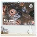 Herzog |  Hippos - Begegnungen in Afrika (hochwertiger Premium Wandkalender 2024 DIN A2 quer), Kunstdruck in Hochglanz | Sonstiges |  Sack Fachmedien