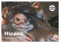 Herzog |  Hippos - Begegnungen in Afrika (Wandkalender 2024 DIN A2 quer), CALVENDO Monatskalender | Sonstiges |  Sack Fachmedien
