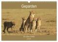 Herzog |  Geparden - Ein Leben in Afrika (Wandkalender 2024 DIN A3 quer), CALVENDO Monatskalender | Sonstiges |  Sack Fachmedien