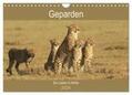Herzog |  Geparden - Ein Leben in Afrika (Wandkalender 2024 DIN A4 quer), CALVENDO Monatskalender | Sonstiges |  Sack Fachmedien