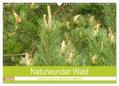 Vier |  Naturwunder Wald (Wandkalender 2024 DIN A3 quer), CALVENDO Monatskalender | Sonstiges |  Sack Fachmedien